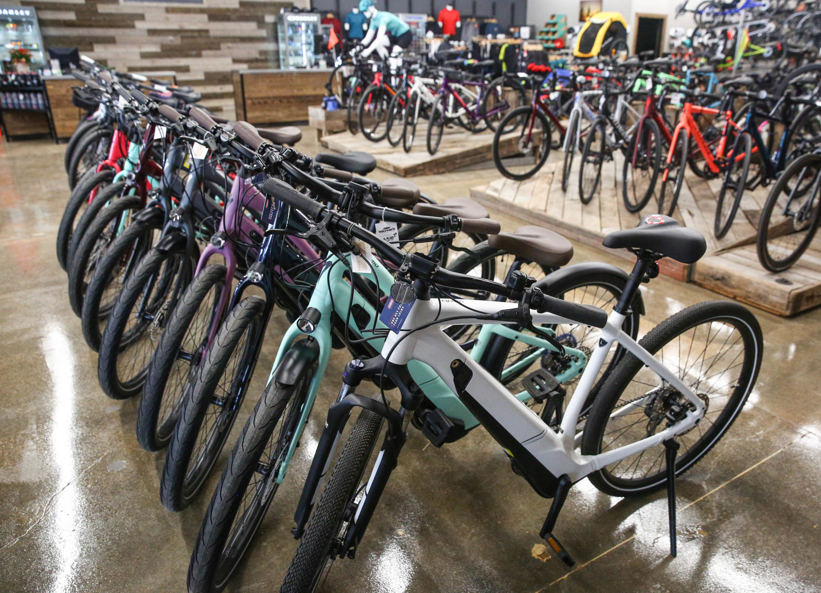 Wayne's Ski and Cycle - 2